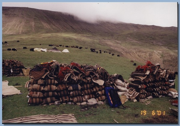 Lager unterwegs, die Säcke werden als Windschutz aufgeschichtet, Yaks grasen im Hintergrund.jpg