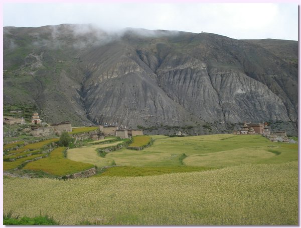 Das Dorf Saldang im Sommer mit Gerstenfeldern.JPG