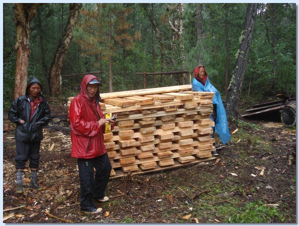 Bauholz wird im Shey Poksumdo National Park geschlagen.JPG